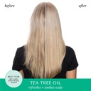 Tea Tree Oil & Rosemary Hair & Scalp  Mask 50g 